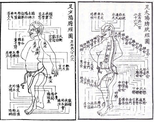 膀胱経・胆経の画像